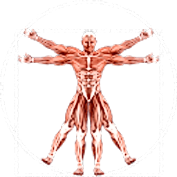 Dr. Muscle logo
